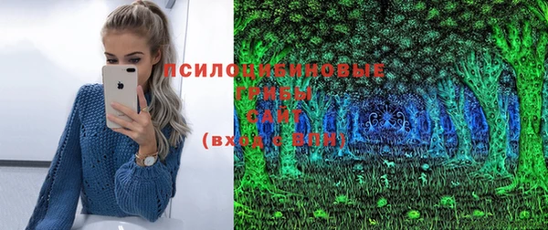PSILOCYBIN Богданович