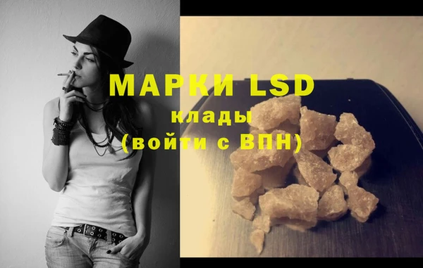 PSILOCYBIN Богданович