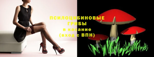 твердый Богородск