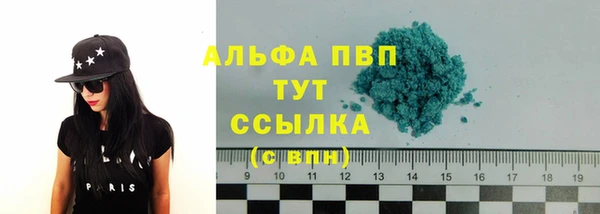 PSILOCYBIN Богданович