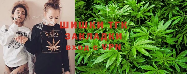 винт Бородино
