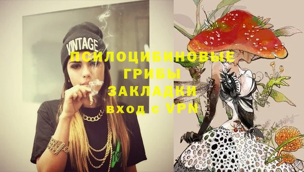 гашик Богородицк