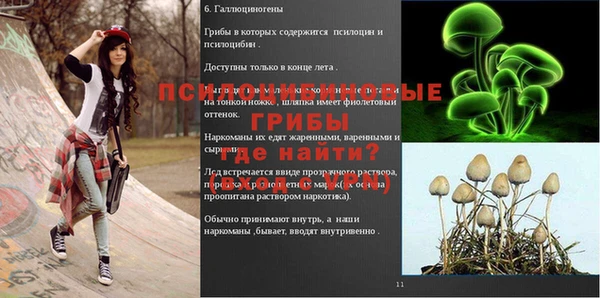 твердый Богородск