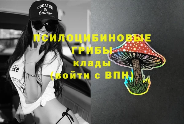 твердый Богородск