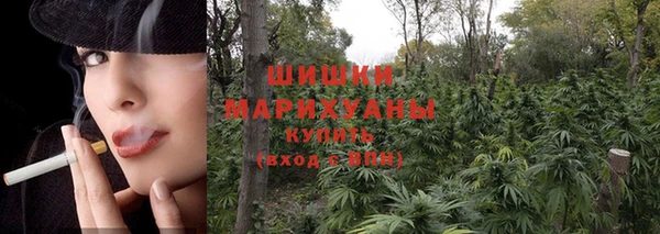 гашик Богородицк