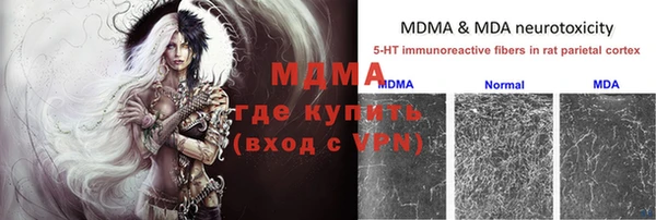 PSILOCYBIN Богданович